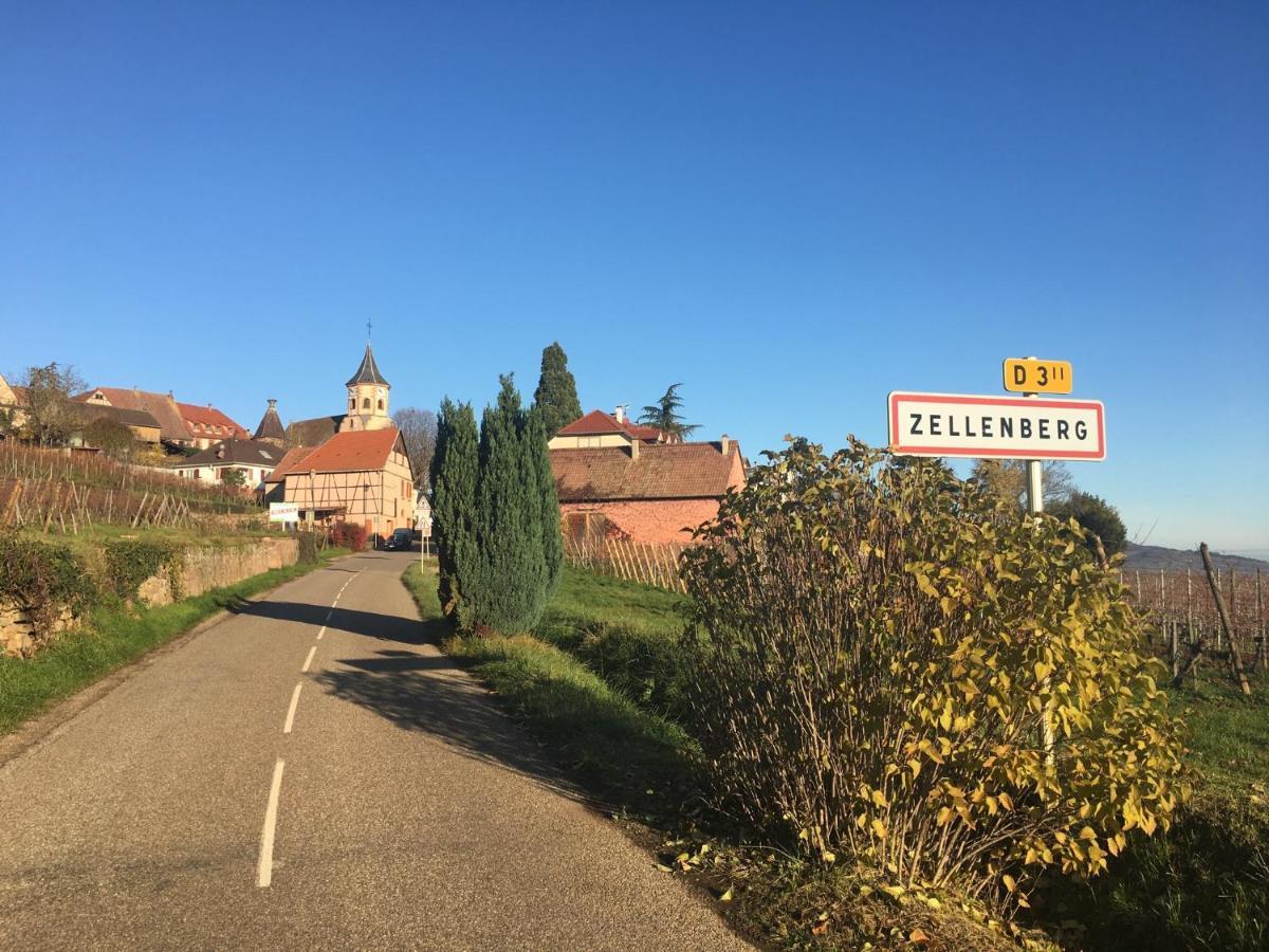 Au Nid De Cigogne Daire Zellenberg Dış mekan fotoğraf