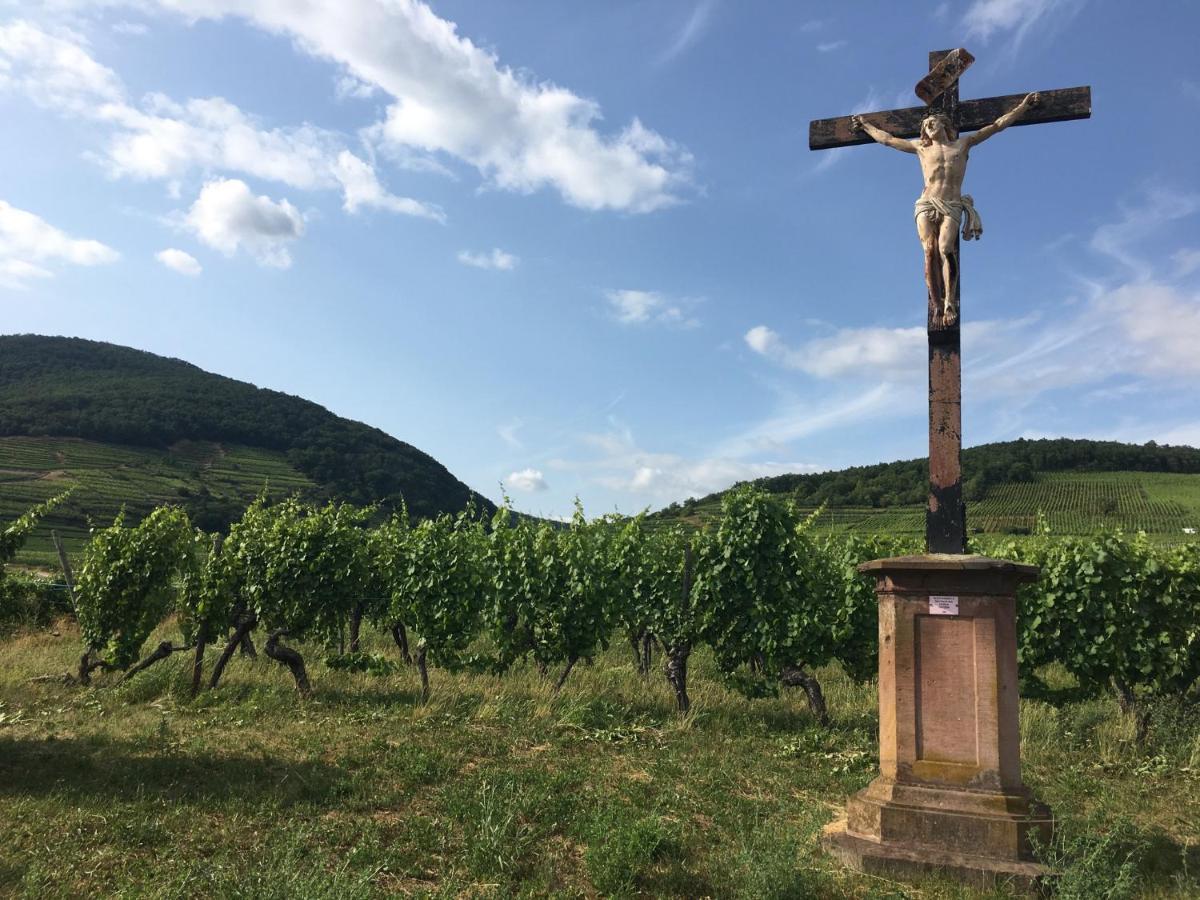 Au Nid De Cigogne Daire Zellenberg Dış mekan fotoğraf