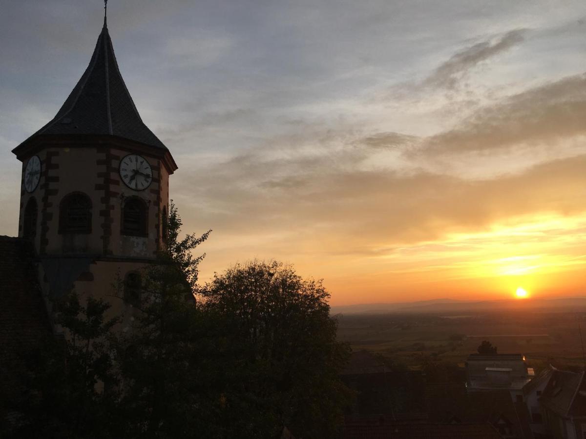 Au Nid De Cigogne Daire Zellenberg Dış mekan fotoğraf